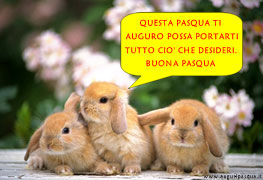 Buona Pasqua:coniglietti carini