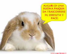 Auguri di buona Pasqua:coniglio bello