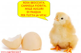 Auguri di Pasqua: pulcino uscito dall'uovo